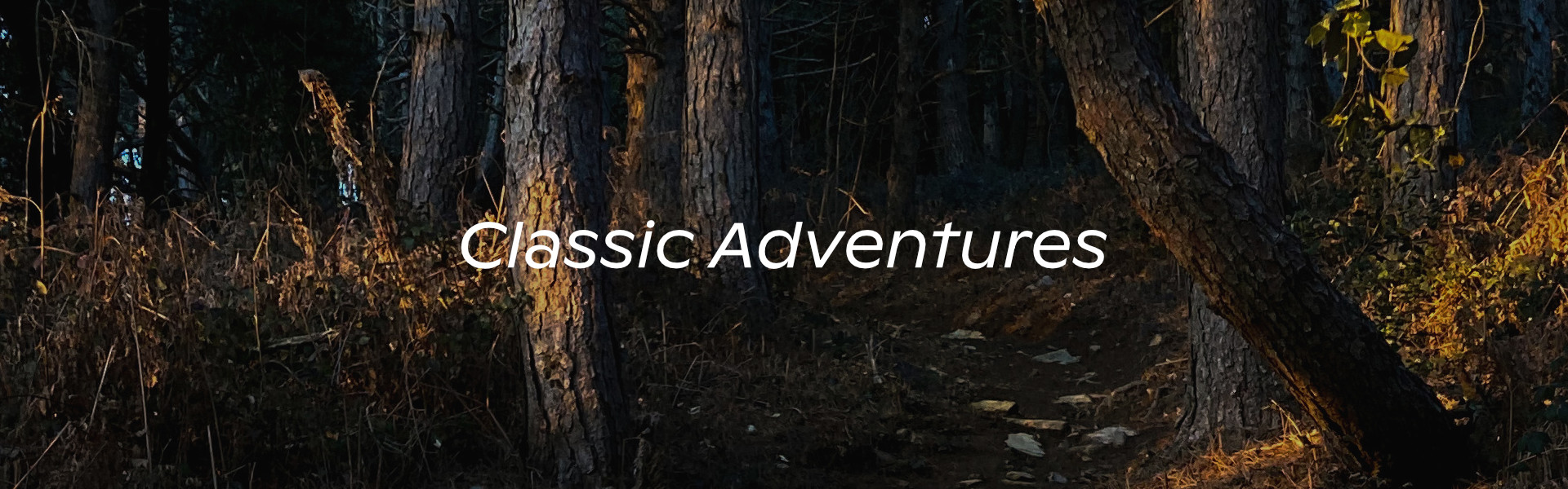 Classic Adventure - Mountain path with trees